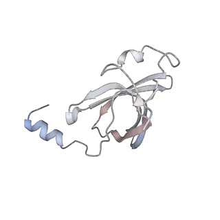 23667_7m4v_O_v1-3
A. baumannii Ribosome-Eravacycline complex: 50S