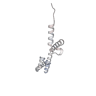 23667_7m4v_P_v1-2
A. baumannii Ribosome-Eravacycline complex: 50S