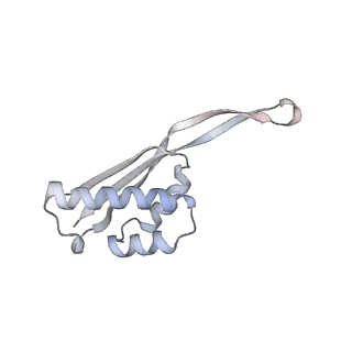 23667_7m4v_R_v1-2
A. baumannii Ribosome-Eravacycline complex: 50S