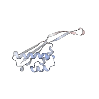 23667_7m4v_R_v1-3
A. baumannii Ribosome-Eravacycline complex: 50S