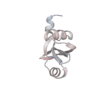 23667_7m4v_S_v1-2
A. baumannii Ribosome-Eravacycline complex: 50S