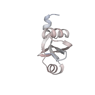 23667_7m4v_S_v1-3
A. baumannii Ribosome-Eravacycline complex: 50S