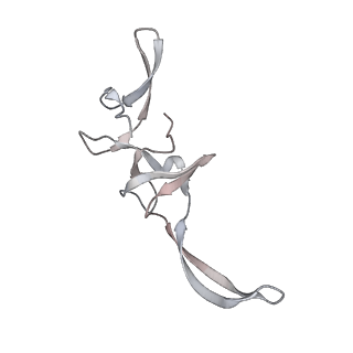 23667_7m4v_T_v1-2
A. baumannii Ribosome-Eravacycline complex: 50S
