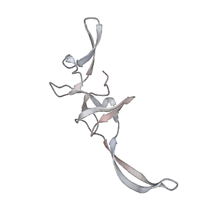 23667_7m4v_T_v1-3
A. baumannii Ribosome-Eravacycline complex: 50S