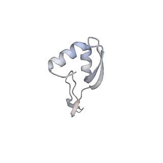 23667_7m4v_W_v1-2
A. baumannii Ribosome-Eravacycline complex: 50S