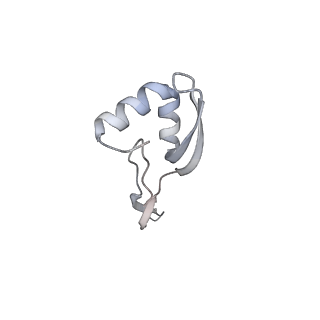 23667_7m4v_W_v1-3
A. baumannii Ribosome-Eravacycline complex: 50S