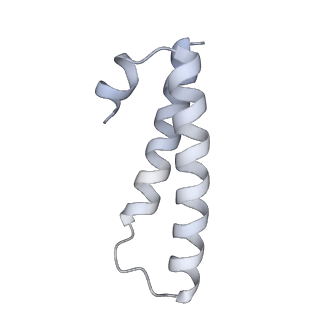 23667_7m4v_X_v1-2
A. baumannii Ribosome-Eravacycline complex: 50S