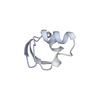 23667_7m4v_Y_v1-3
A. baumannii Ribosome-Eravacycline complex: 50S