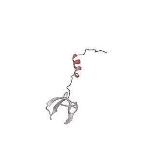 23667_7m4v_Z_v1-3
A. baumannii Ribosome-Eravacycline complex: 50S