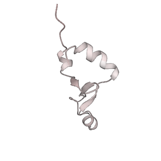 23668_7m4w_2_v1-4
A. baumannii Ribosome-Eravacycline complex: Empty 70S