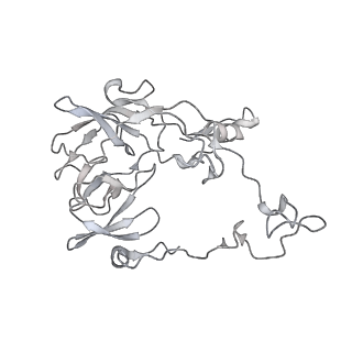 23668_7m4w_C_v1-3
A. baumannii Ribosome-Eravacycline complex: Empty 70S