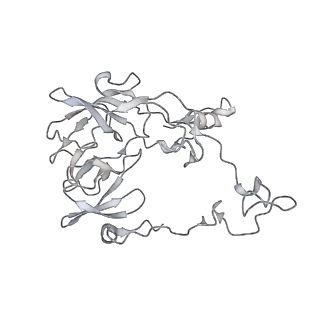 23668_7m4w_C_v1-4
A. baumannii Ribosome-Eravacycline complex: Empty 70S
