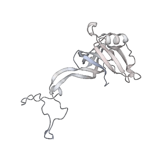 23668_7m4w_D_v1-3
A. baumannii Ribosome-Eravacycline complex: Empty 70S