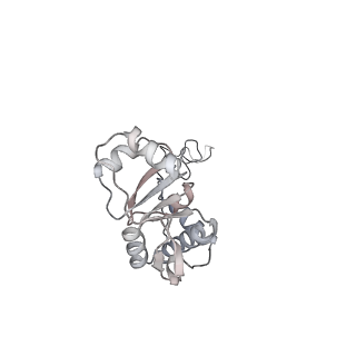 23668_7m4w_E_v1-3
A. baumannii Ribosome-Eravacycline complex: Empty 70S