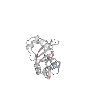 23668_7m4w_E_v1-4
A. baumannii Ribosome-Eravacycline complex: Empty 70S