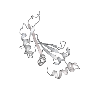 23668_7m4w_F_v1-4
A. baumannii Ribosome-Eravacycline complex: Empty 70S