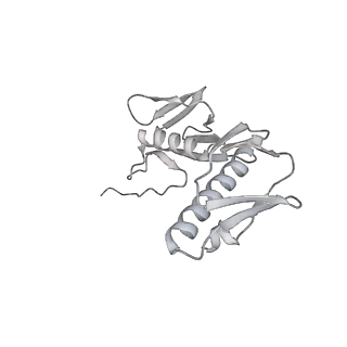 23668_7m4w_G_v1-4
A. baumannii Ribosome-Eravacycline complex: Empty 70S