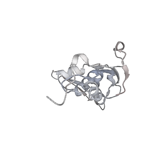23668_7m4w_I_v1-3
A. baumannii Ribosome-Eravacycline complex: Empty 70S