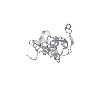 23668_7m4w_I_v1-4
A. baumannii Ribosome-Eravacycline complex: Empty 70S