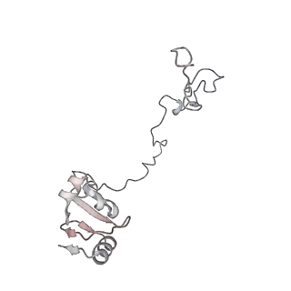 23668_7m4w_K_v1-3
A. baumannii Ribosome-Eravacycline complex: Empty 70S