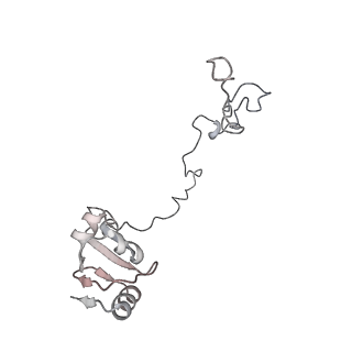 23668_7m4w_K_v1-4
A. baumannii Ribosome-Eravacycline complex: Empty 70S