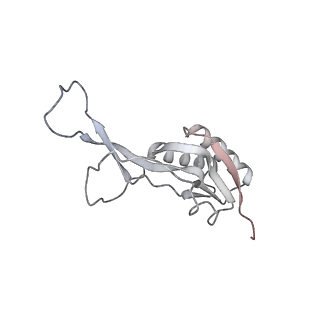 23668_7m4w_L_v1-3
A. baumannii Ribosome-Eravacycline complex: Empty 70S