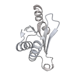 23668_7m4w_N_v1-4
A. baumannii Ribosome-Eravacycline complex: Empty 70S