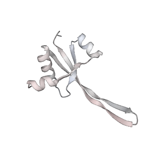 23668_7m4w_S_v1-4
A. baumannii Ribosome-Eravacycline complex: Empty 70S