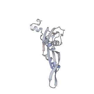23668_7m4w_e_v1-3
A. baumannii Ribosome-Eravacycline complex: Empty 70S