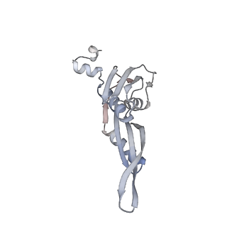 23668_7m4w_e_v1-4
A. baumannii Ribosome-Eravacycline complex: Empty 70S