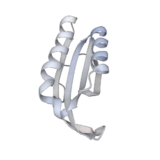 23668_7m4w_f_v1-4
A. baumannii Ribosome-Eravacycline complex: Empty 70S