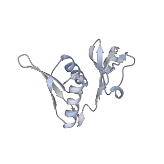 23668_7m4w_h_v1-4
A. baumannii Ribosome-Eravacycline complex: Empty 70S