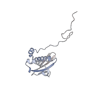 23668_7m4w_i_v1-4
A. baumannii Ribosome-Eravacycline complex: Empty 70S