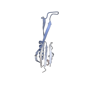 23668_7m4w_j_v1-4
A. baumannii Ribosome-Eravacycline complex: Empty 70S