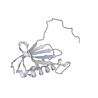 23668_7m4w_k_v1-3
A. baumannii Ribosome-Eravacycline complex: Empty 70S
