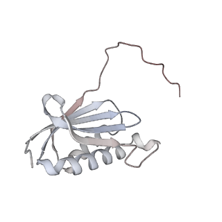 23668_7m4w_k_v1-4
A. baumannii Ribosome-Eravacycline complex: Empty 70S