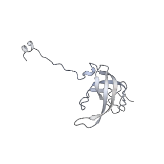 23668_7m4w_l_v1-3
A. baumannii Ribosome-Eravacycline complex: Empty 70S