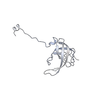 23668_7m4w_l_v1-4
A. baumannii Ribosome-Eravacycline complex: Empty 70S