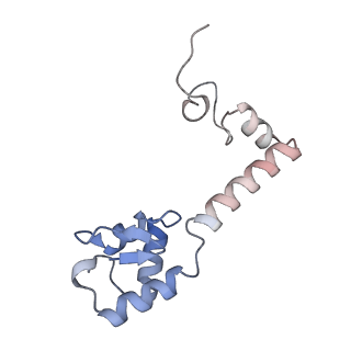 23668_7m4w_m_v1-4
A. baumannii Ribosome-Eravacycline complex: Empty 70S