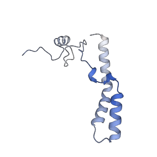 23668_7m4w_n_v1-4
A. baumannii Ribosome-Eravacycline complex: Empty 70S