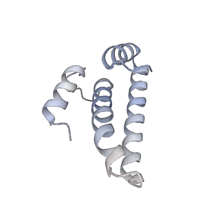 23668_7m4w_o_v1-4
A. baumannii Ribosome-Eravacycline complex: Empty 70S