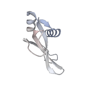 23668_7m4w_p_v1-4
A. baumannii Ribosome-Eravacycline complex: Empty 70S