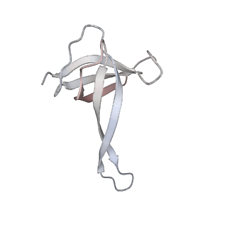 23668_7m4w_q_v1-4
A. baumannii Ribosome-Eravacycline complex: Empty 70S