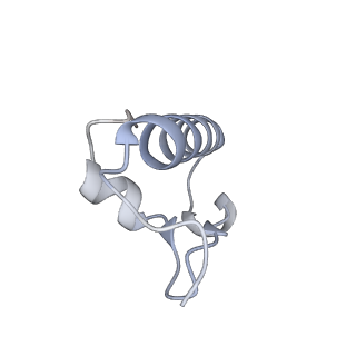 23668_7m4w_r_v1-4
A. baumannii Ribosome-Eravacycline complex: Empty 70S