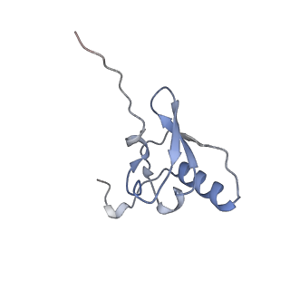 23668_7m4w_s_v1-4
A. baumannii Ribosome-Eravacycline complex: Empty 70S