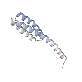 23668_7m4w_t_v1-4
A. baumannii Ribosome-Eravacycline complex: Empty 70S