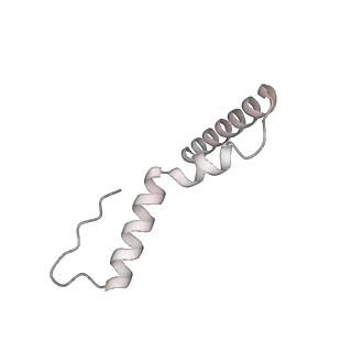 23668_7m4w_u_v1-4
A. baumannii Ribosome-Eravacycline complex: Empty 70S