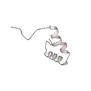 23669_7m4x_1_v1-3
A. baumannii Ribosome-Eravacycline complex: P-site tRNA 70S