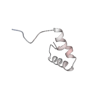 23669_7m4x_1_v1-4
A. baumannii Ribosome-Eravacycline complex: P-site tRNA 70S