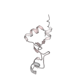 23669_7m4x_2_v1-3
A. baumannii Ribosome-Eravacycline complex: P-site tRNA 70S